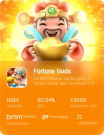 Fortune-magix-1