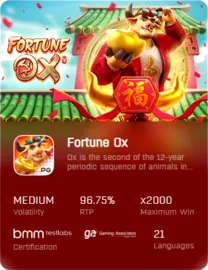 Fortune-magix